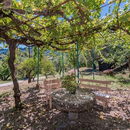 Amalia Country House Áno Yerakaríon Εξωτερικό φωτογραφία