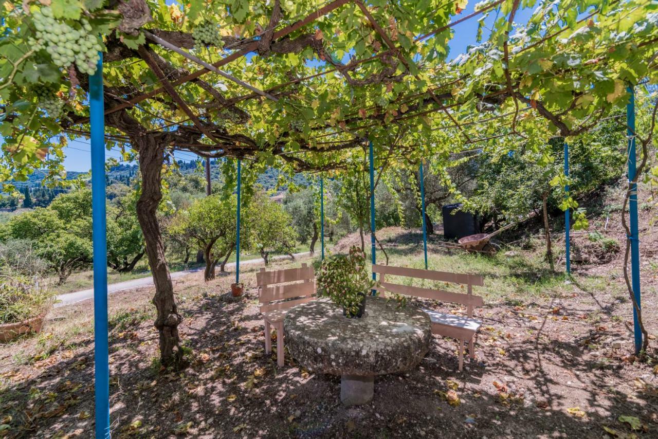 Amalia Country House Áno Yerakaríon Εξωτερικό φωτογραφία